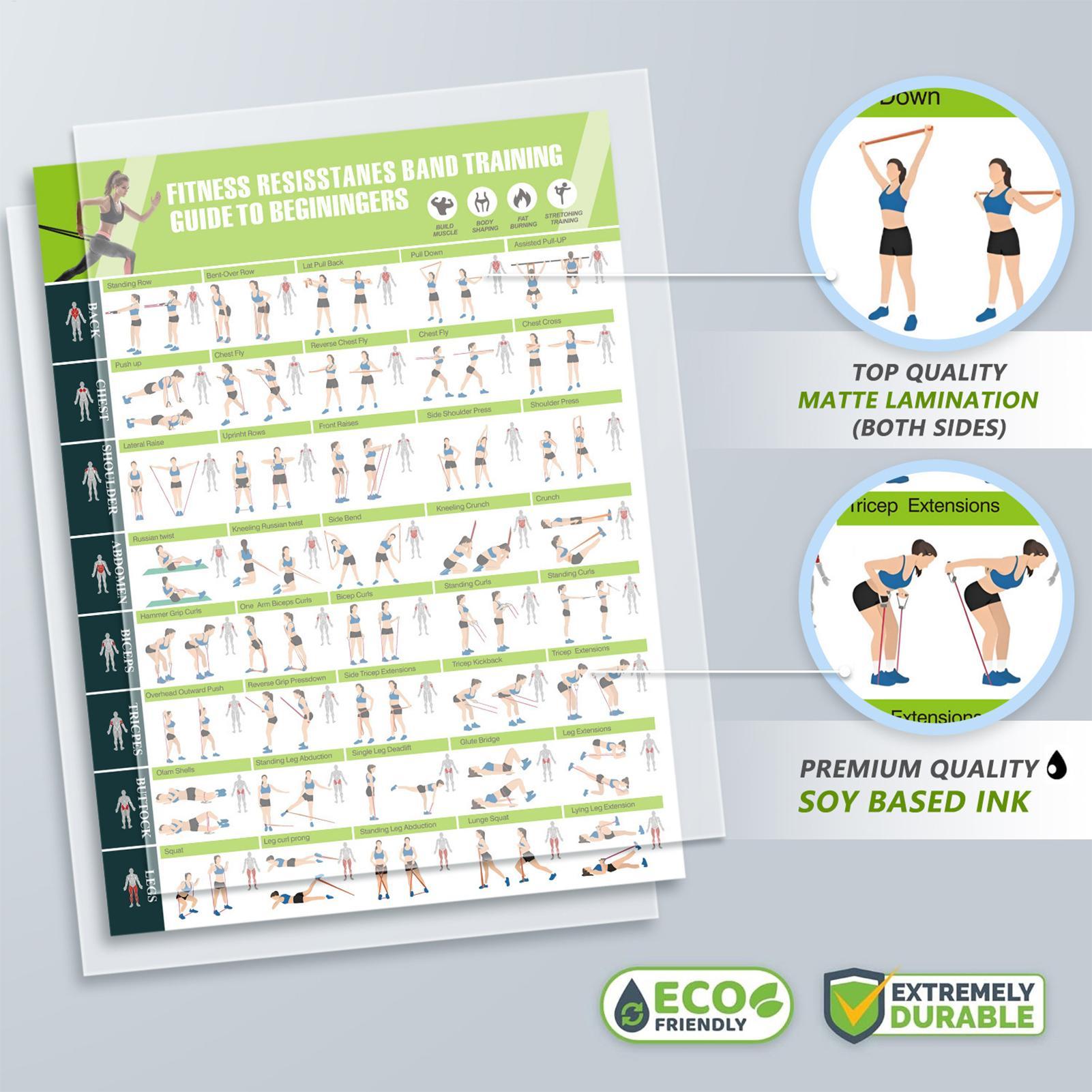 Exercise Posters Resistance Ba - đánh giá và giá Women Accessories Poster