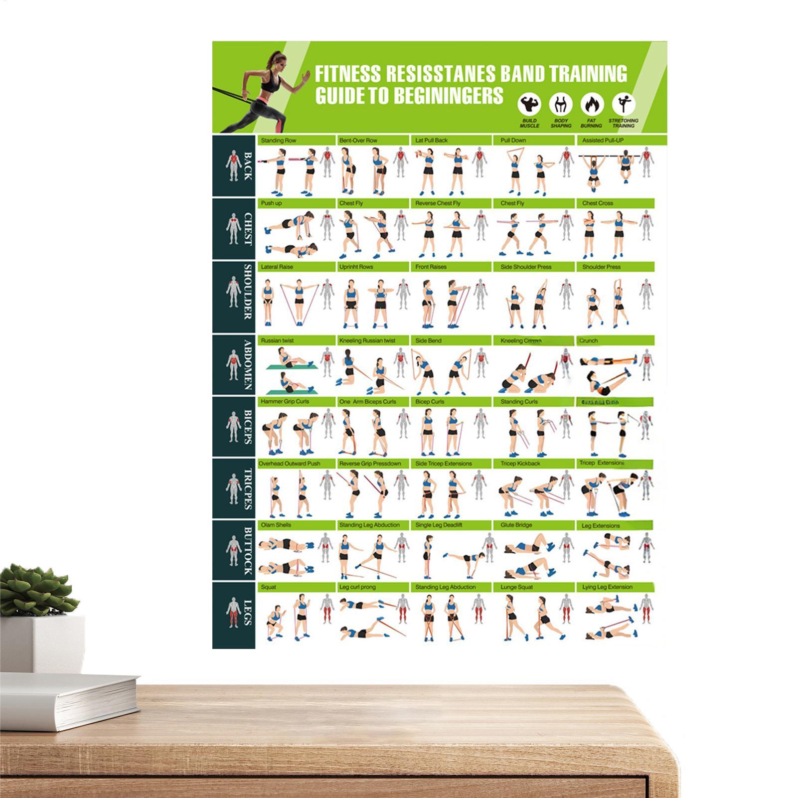 Exercise Posters Resistance Ba - đánh giá và giá Women Accessories Poster